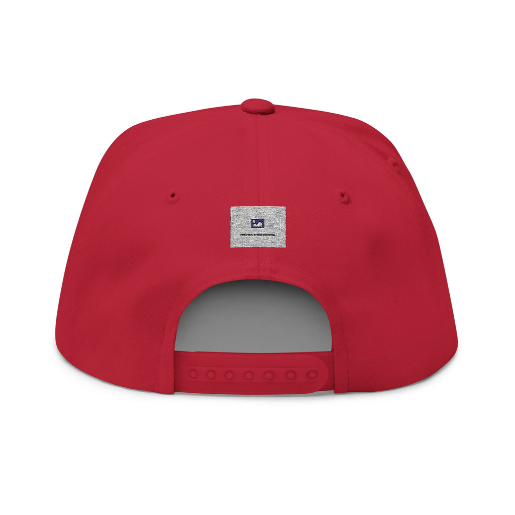 Embroidered Flat Brim Cap